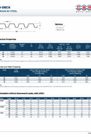 Cover sheet of N Deck Grade 80 2025 Revision Showing Options and Properties Tables